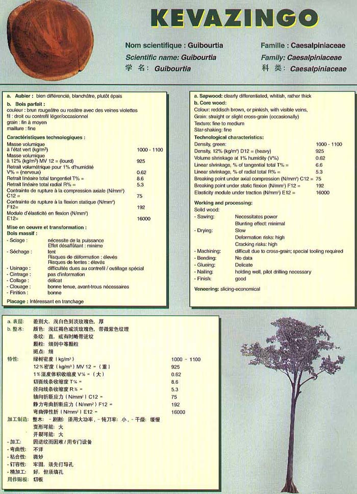 Genesis Douka Species