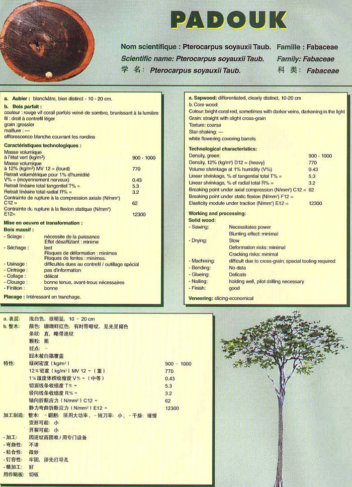 Genesis Douka Species