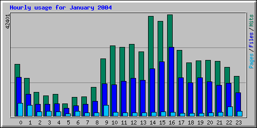 Hourly usage for January 2004